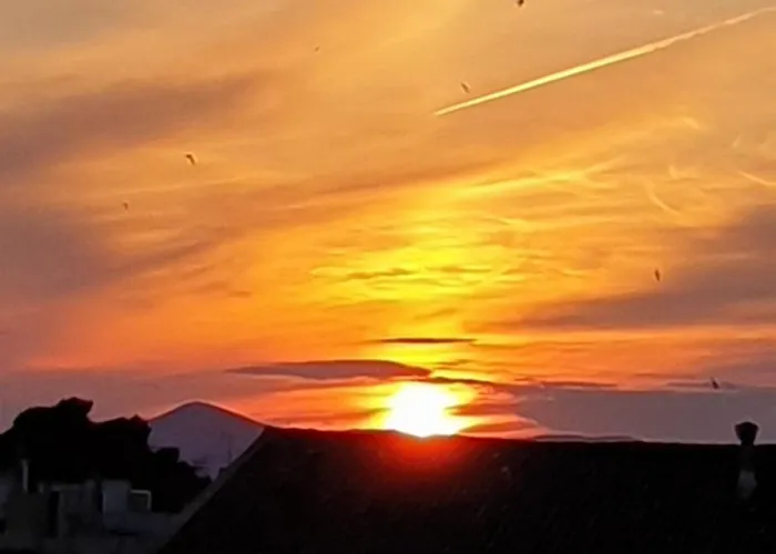 Great View